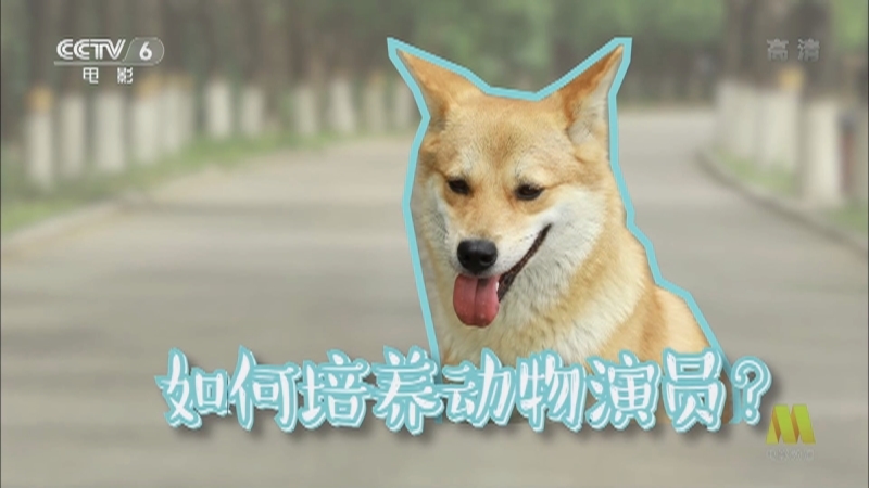 《电影快讯》 20210624