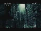 中国电影报道 《中国电影报道》 20120807