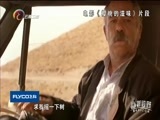 新视野 《新视野》 20160801 废墟中的生命力 纪念伊朗电影大师阿巴斯