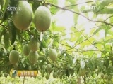 生财有道 《生财有道》 20160112 精准扶贫 小康中国系列：因人施策的脱贫之路