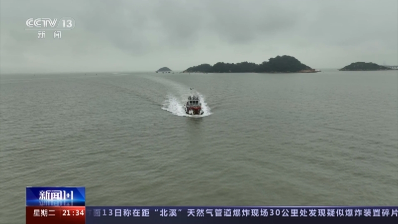新闻1+1 《新闻1+1》 20230314 长江江豚，有了更多数据，如何更好保护？