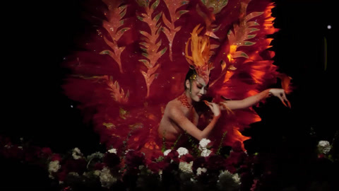 完整版 杨丽萍艺术团孔雀舞美到窒息