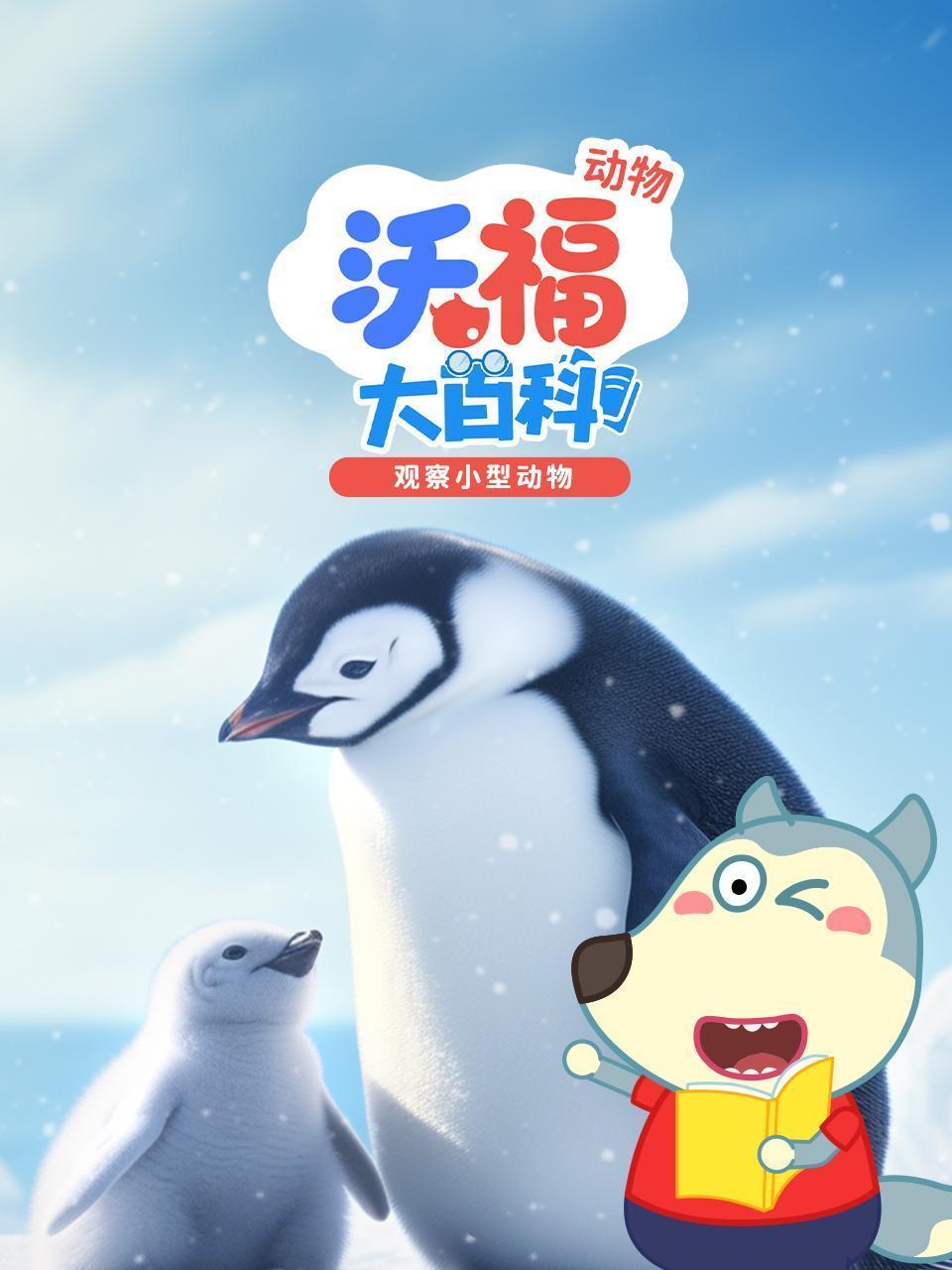 沃福动物大百科：观察小型动物