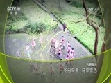 地理中国 《地理中国》 20170113 冬日奇景·乌蒙雪色