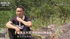 致富经 [致富经]每天入十万 带着她们赚快钱 20180803