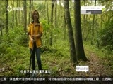 有多远走多远 《有多远走多远》 20170423 我是旅行家