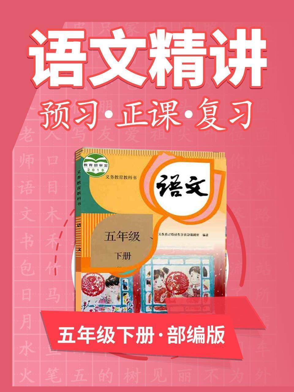 部编版语文 五年级下册  语文精讲