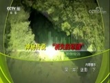 地理中国 《地理中国》 20171104 深“井”谜影（下）