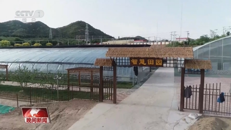 晚间新闻 《晚间新闻》 20260616