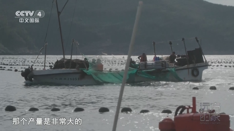 远方的家 《远方的家》 20250630 海与城的交响 浪漫之都 魅力大连