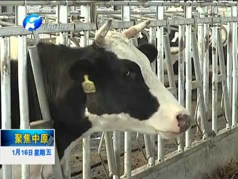 聚焦中原 《聚焦中原》 20150116 河南移民村：“强村富民”人幸福 管理创新增活力