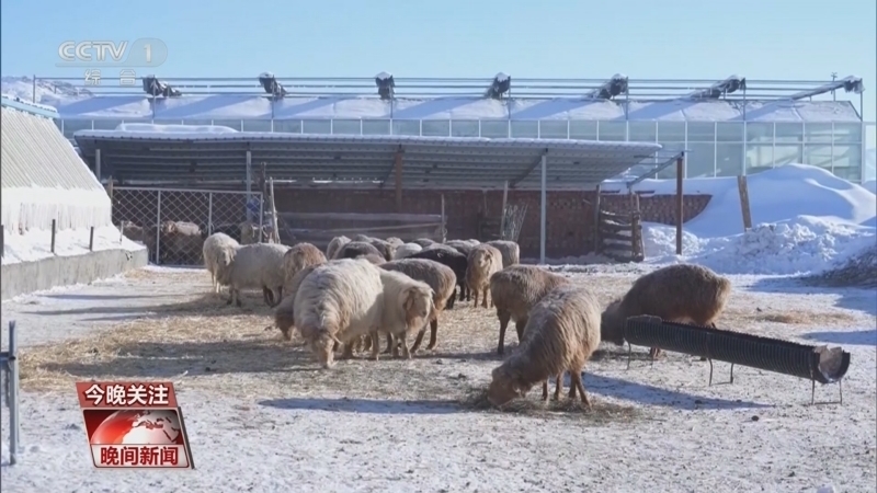 《晚间新闻》 20260119