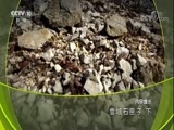 地理中国 《地理中国》 20180329 雪域石匣子（下）