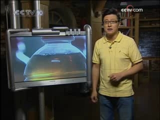 走近科学 苍蝇谜案