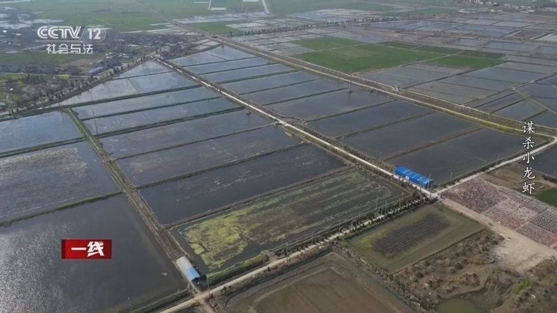 《一线》 20260331 谋杀小龙虾