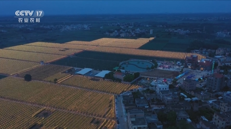 乐游新乡村