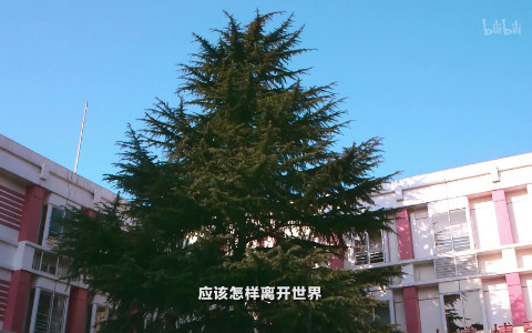 生命里 心愿