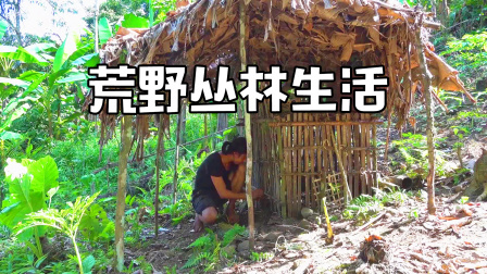 原始丛林人苏门答腊 第二季 独自在丛林求生，一切靠自己动手，流浪者的荒野生活