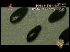 经典传奇 中国奇异事件大聚焦之群棺谜穴：47位花季少女暴死之谜