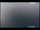 人与自然 人与自然 2009年 第169期 2010-11-25