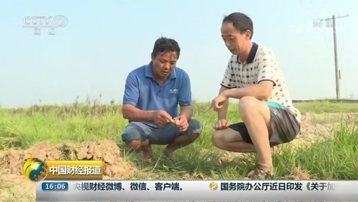 中国财经报道 《中国财经报道》 20190828 16:00