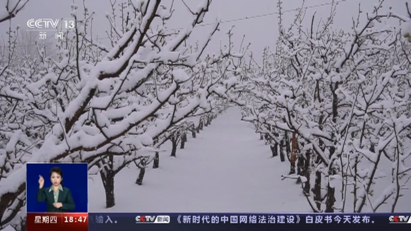共同关注 《共同关注》 20230316
