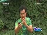 动感特区 《动感特区》 20151219