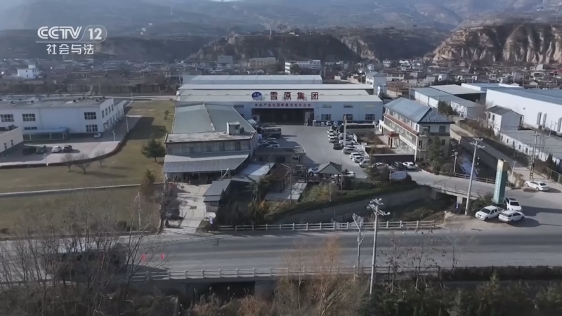 天网 《天网》 20260416 错位五小时