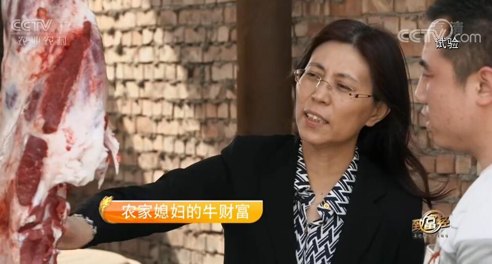 致富经 《致富经》 20190801 农家媳妇的牛财富