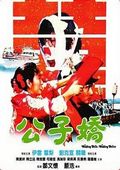 公子娇 海报