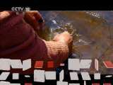 地理中国 地理中国 2011年 第39期 石头中的玄机