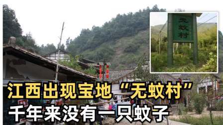 江西出现宝地“无蚊村”，千年来没有一只蚊子，竟然与张天师有关