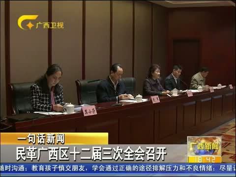 广西新闻 《广西新闻》 20141229