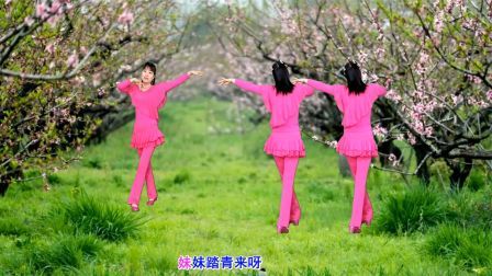 唯美情歌对唱广场舞《爱在桃花园》优美48步演示分解