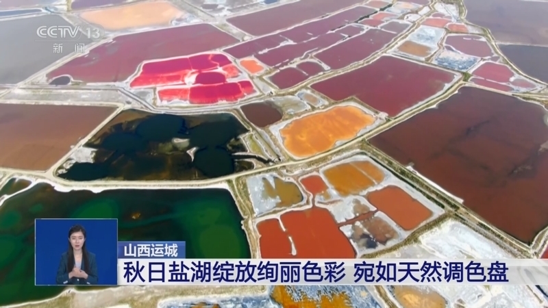 共同关注 《共同关注》 20240913