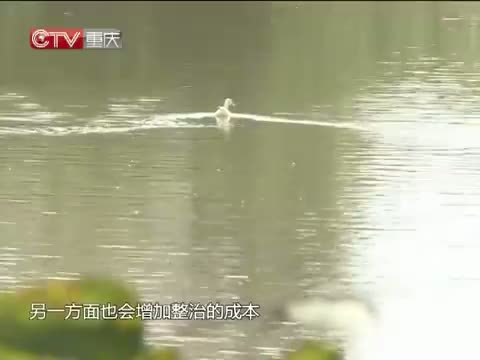新闻解码 《新闻解码》 20141009 民生聚焦：保障农村用水安全