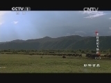动物世界 《动物世界》 20141022 不好惹的大块头（一）