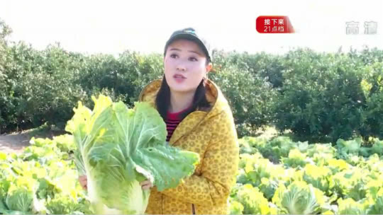人气美食 聪明橘园农家乐 人均50元尝遍本地土菜