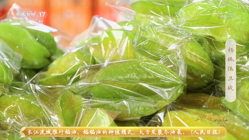 《三农群英汇》 20210328 杨桃保卫战