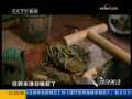 共同关注 古墓贼影