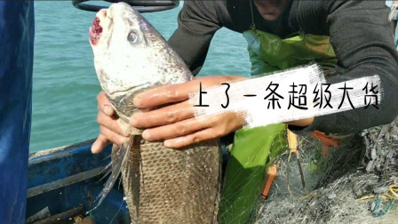 南澳岛赶海日记 渔民出海捕鱼捕到值钱大补品，价值好几千一条，宝贝就在它肚子里