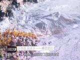 小区大事 《小区大事》 20160220 走亲戚 回故乡——嵊泗变迁