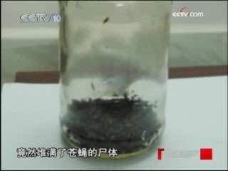 走近科学 苍蝇的绝密飞行