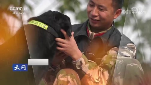 天网 《天网》 20190313 人犬情缘·最长情的告白