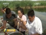 生财有道 《生财有道》 20151012 生态中国系列（乡村行）——生态湖畔赚钱忙