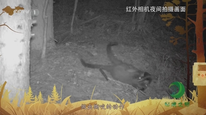 秘境之眼 《秘境之眼》 果子狸 20230703