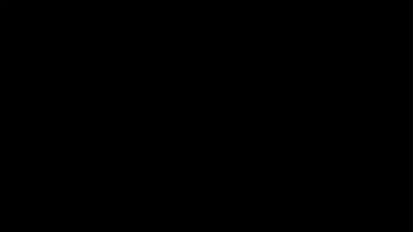 《追踪巨型鱼第四季》第5集