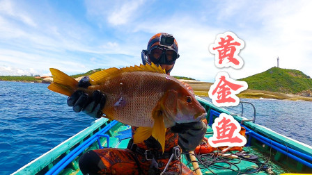 阿镭组团去深海捕鱼，在12米深的地方，打到300块一斤极品大鱼