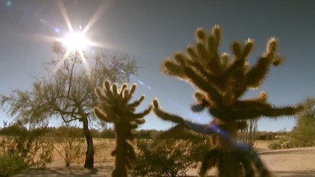 黑沙漠锦标赛本周开赛，敬请期待