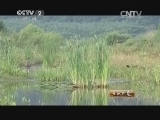 生财有道 《生财有道》 20140811 围出来的财富